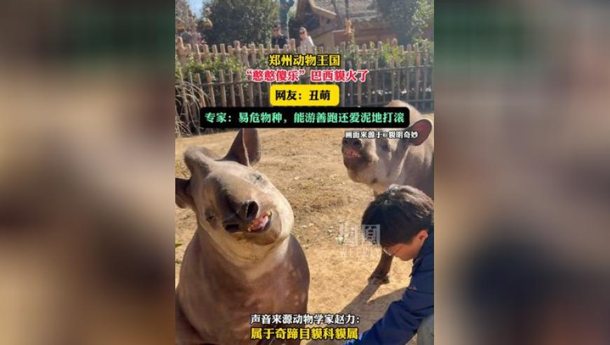 香港二四六天下彩正版玄机资料,看完哪吒2的后遗症,广泛的解释落实支持计划_创新版V7.40