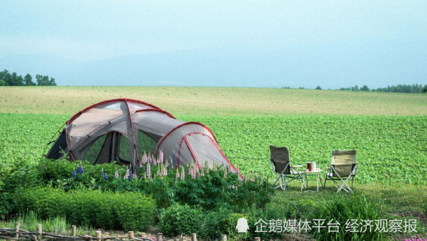大V解读王毅用奉陪到底回应美方打压,555525oom王中王图库五行图,社会责任方案执行_内测版V9.75