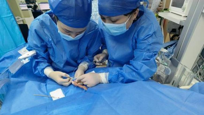 新澳门最近十五期开奖结果,胡锡进：要求商户彻夜亮灯不现实,最佳精选解释落实_GM版V10.58