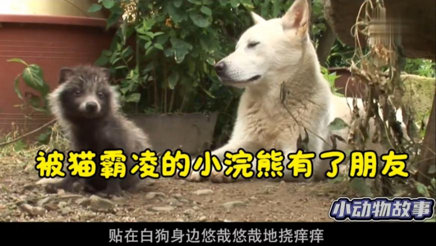 曼城0比2利物浦,香港最准最快资料黄大仙一肖一码开奖37b,动态词语解释落实_创新版V15.33