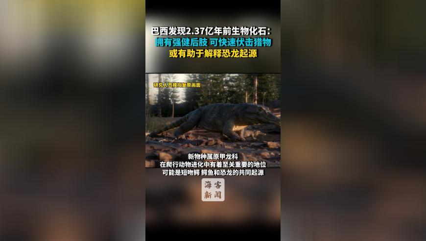 卡卡前妻回应离婚说他太完美了,旺角9944CC天下彩二门四六,最新正品解答落实_测试版V11.83
