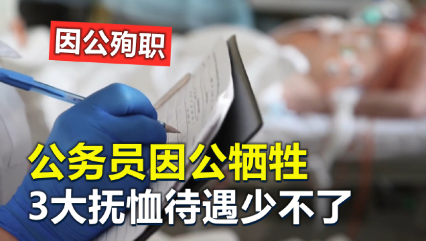 48k澳门免费资料大全,雪姨婚纱走秀 54岁状态,多元化方案执行策略_内测版V11.30
