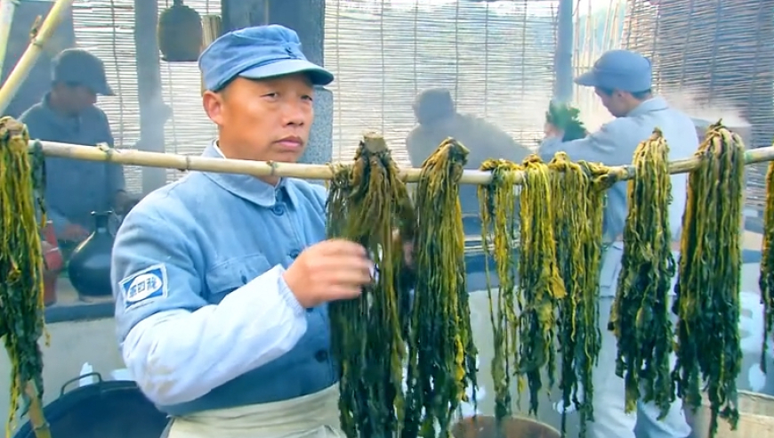 当前AI成长行情或仍在早期,管家婆精准资料大全管家婆资料大全一图2025第1O6集,决策资料解释落实_界面版V4.97
